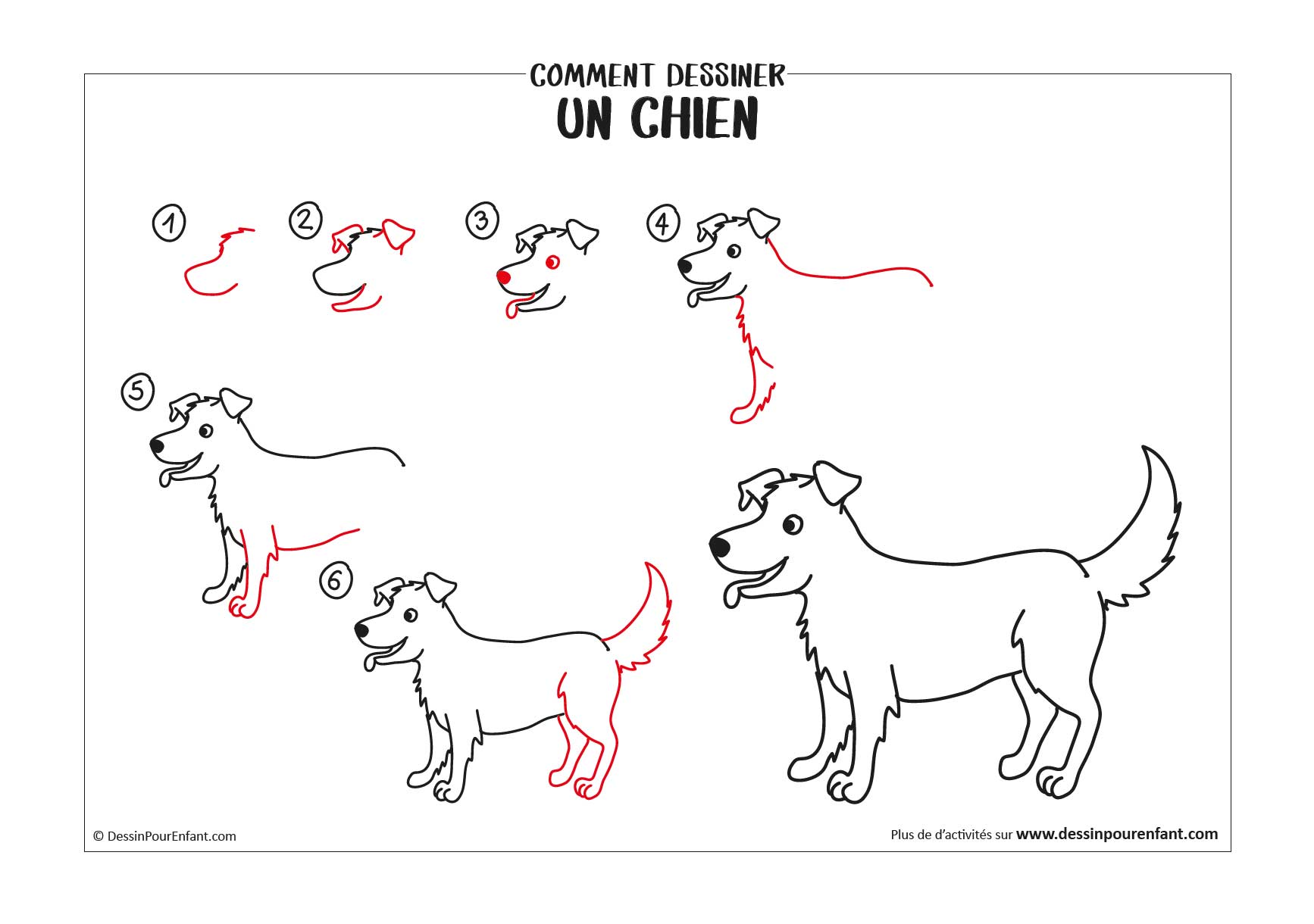 Comment dessiner un chien en 6 étapes - Dessin pour enfant