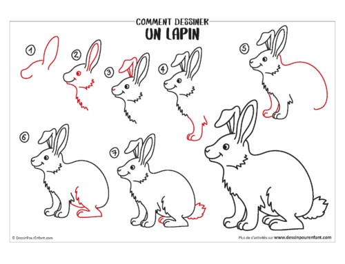 Comment dessiner un lapin en 7 étapes