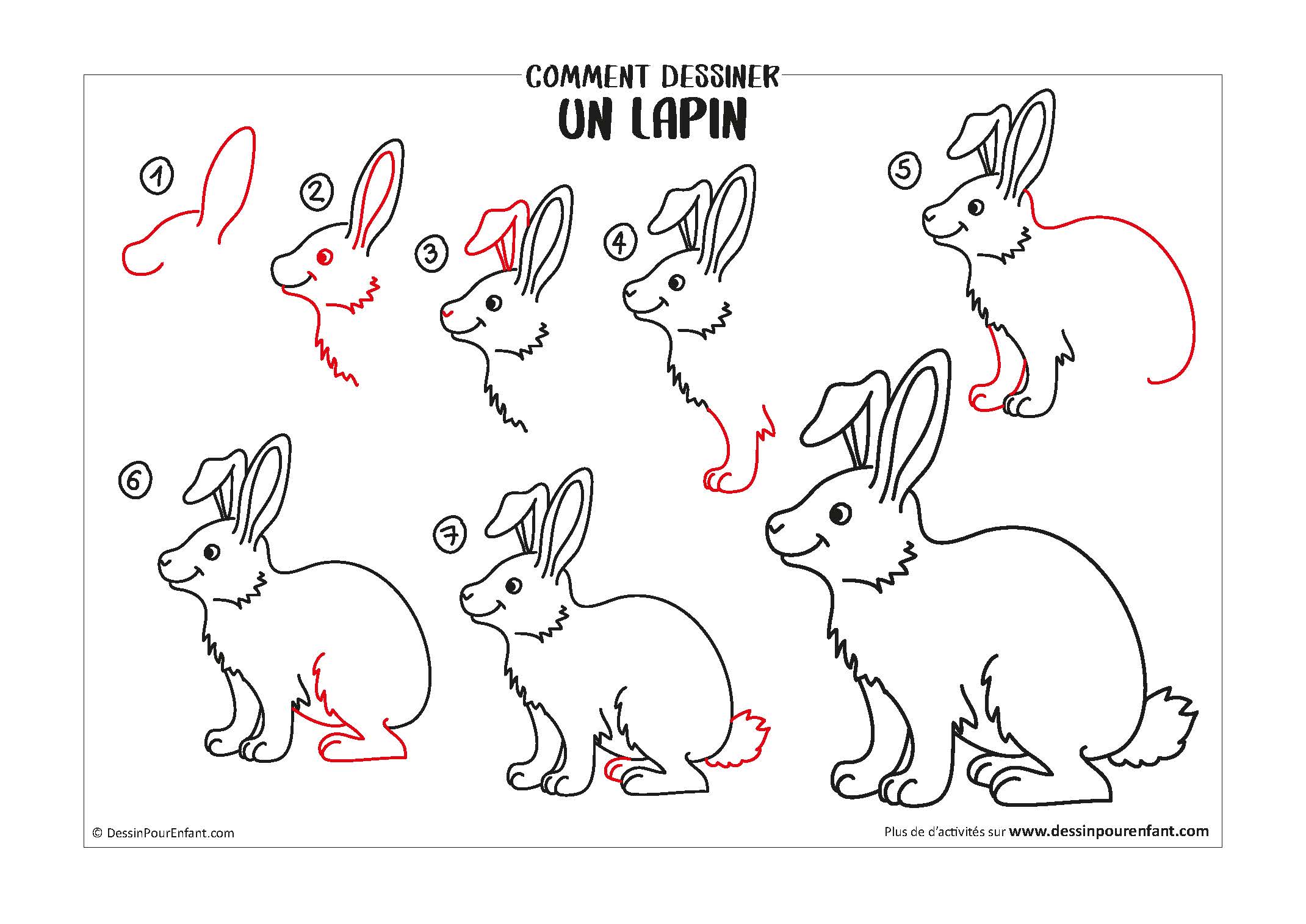 Comment dessiner un lapin en 7 étapes - Dessin pour enfant