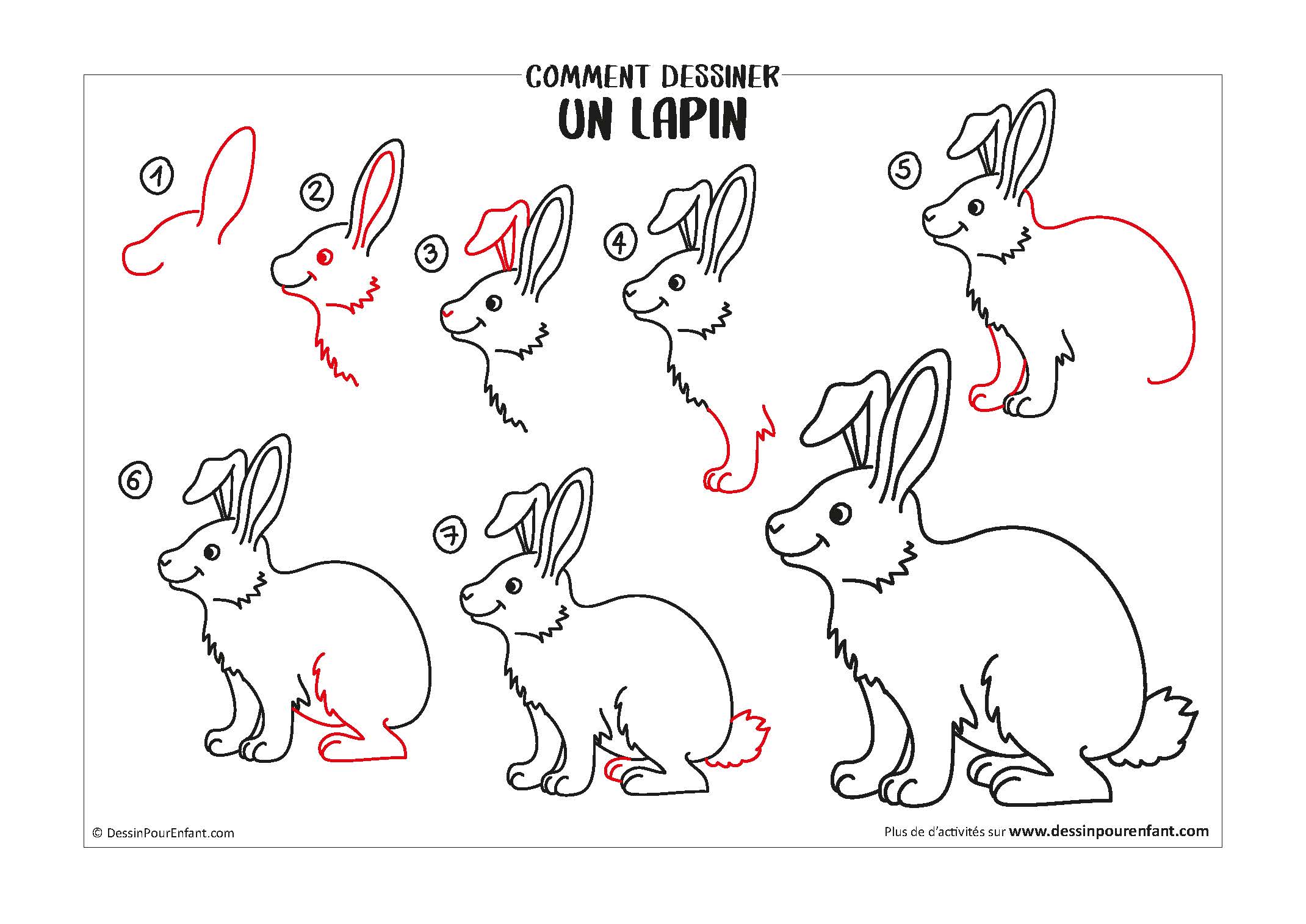 Comment Dessiner Un Lapin Facilement Comment dessiner un lapin en 7 étapes - Dessin pour enfant